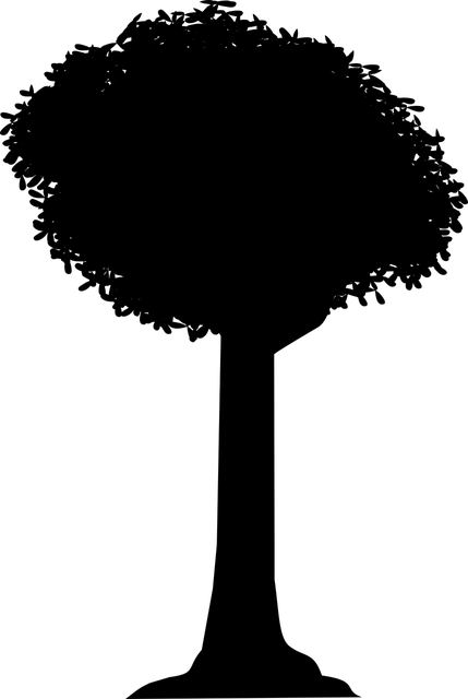 CW Metals Inc